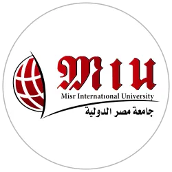 جامعة مصر الدولية