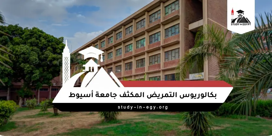 بكالوريوس التمريض المكثف جامعة أسيوط