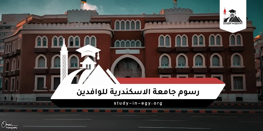 رسوم جامعة الاسكندرية للوافدين