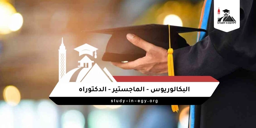 ماهو البكالوريوس والماجستير والدكتوراه
