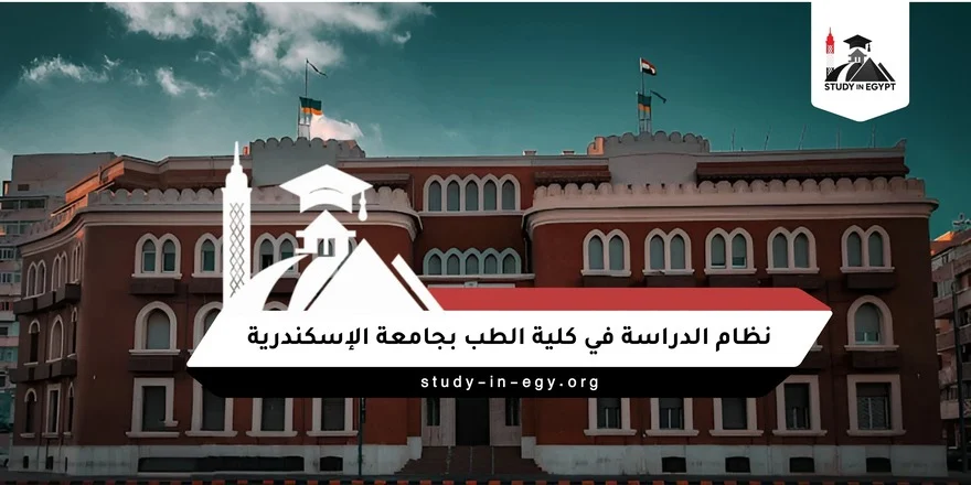 نظام الدراسة في كلية الطب بجامعة الإسكندرية