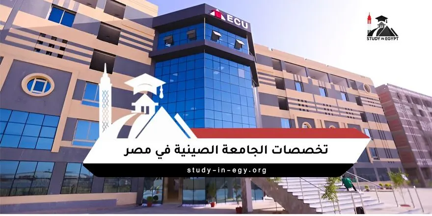 تخصصات الجامعة الصينية في مصر
