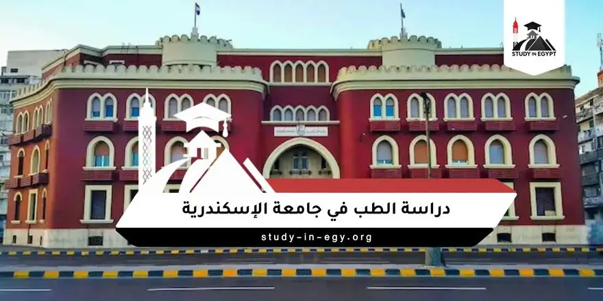 دراسة الطب في جامعة الاسكندرية