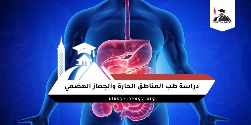 طب المناطق الحارة والجهاز الهضمي