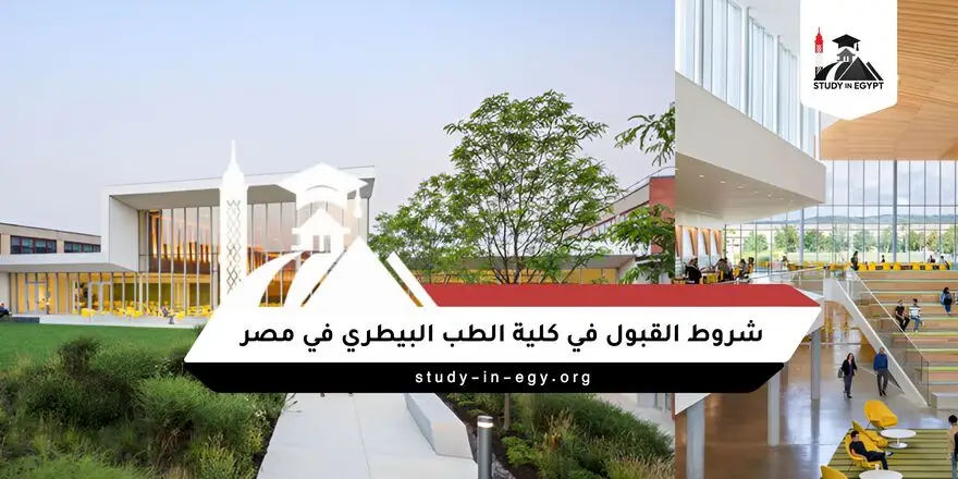 شروط القبول في كلية الطب البيطري في مصر