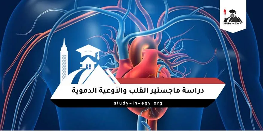 ماجستير القلب والاوعية الدموية