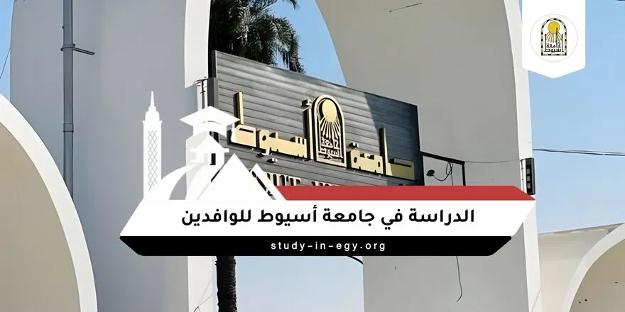 الدراسة في جامعة أسيوط للوافدين