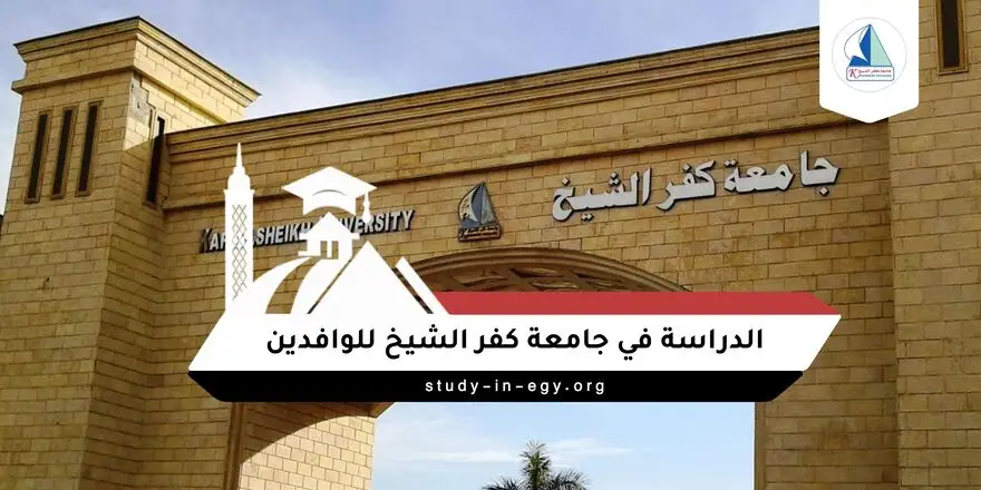 الدراسة في جامعة كفر الشيخ للوافدين