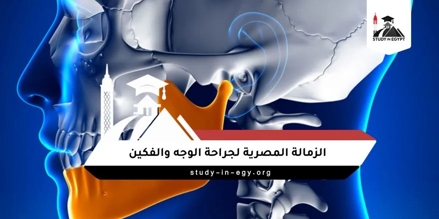 الزمالة المصرية لجراحة الوجه والفكين