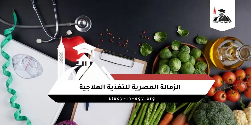 الزمالة المصرية للتغذية العلاجية