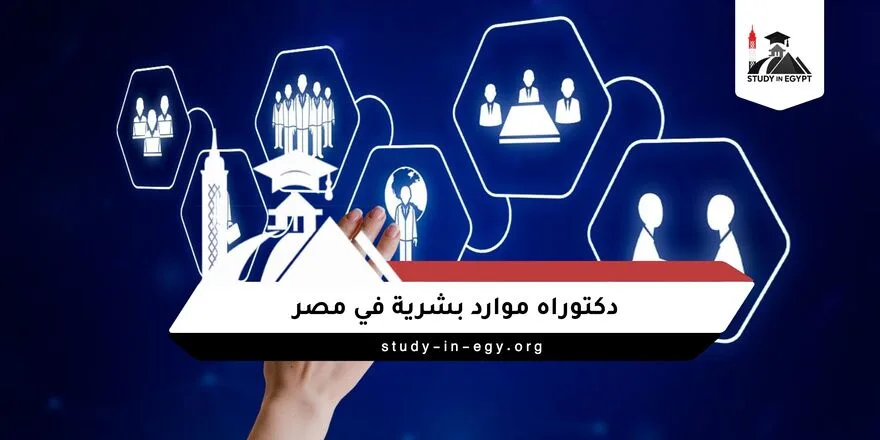 دكتوراه موارد بشرية في مصر