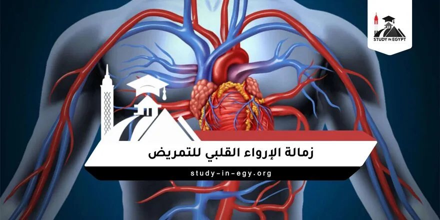 زمالة الإرواء القلبي للتمريض