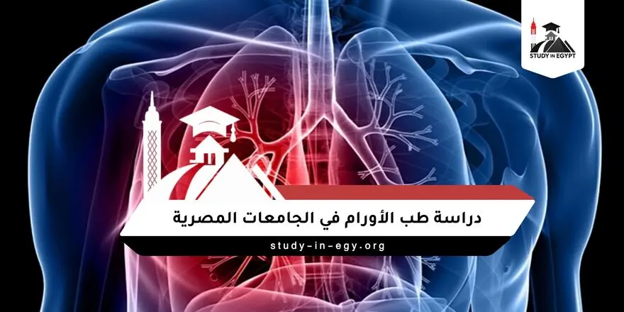 كم سنة دراسة طب الأورام في الجامعات المصرية