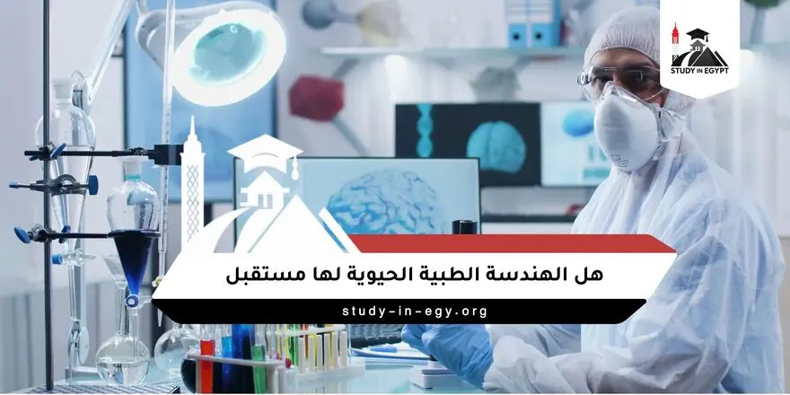 هل الهندسة الطبية الحيوية لها مستقبل