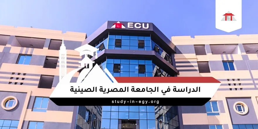 الدراسة في الجامعة المصرية الصينية للوافدين