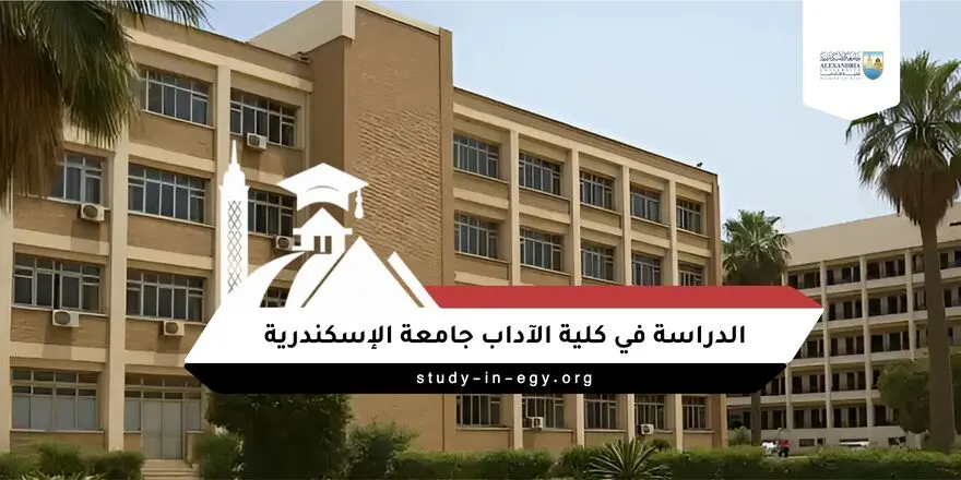 الدراسة في كلية الآداب جامعة الإسكندرية