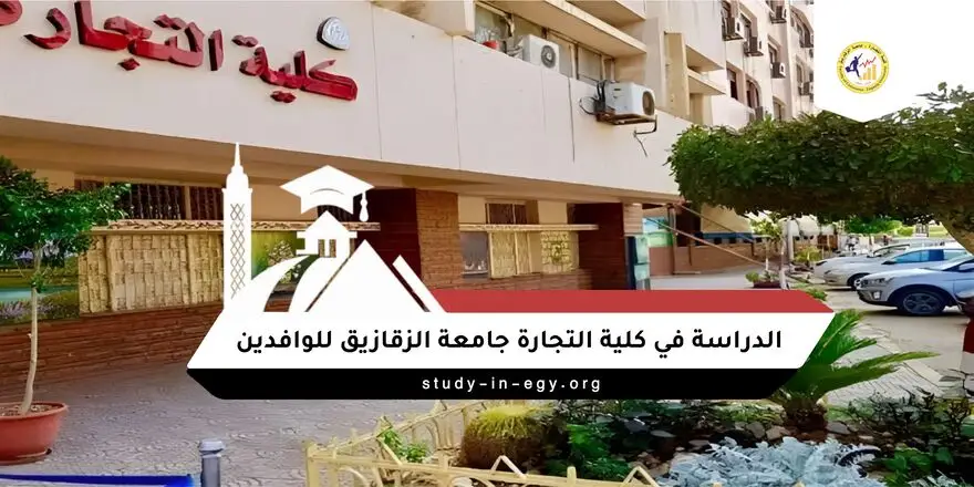 الدراسة في كلية التجارة جامعة الزقازيق