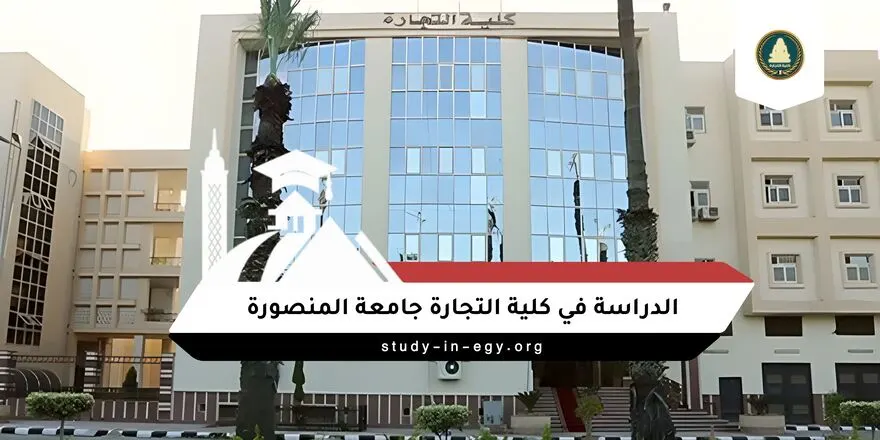الدراسة في كلية التجارة جامعة المنصورة