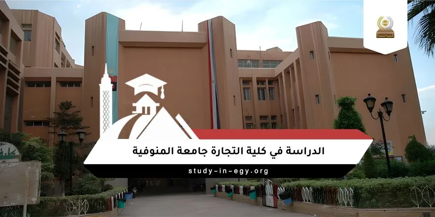 الدراسة في كلية التجارة جامعة المنوفية