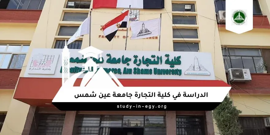 الدراسة في كلية التجارة جامعة عين شمس