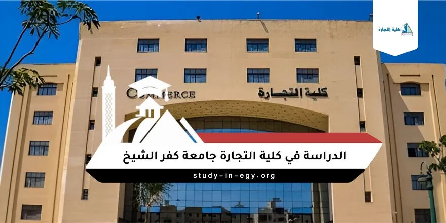 الدراسة في كلية التجارة جامعة كفر الشيخ