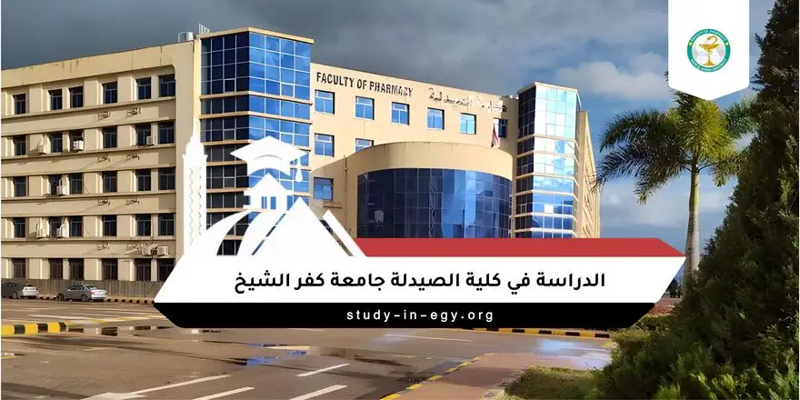 الدراسة في كلية الصيدلة جامعة كفر الشيخ