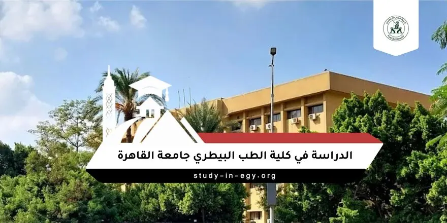 الدراسة في كلية الطب البيطري جامعة القاهرة