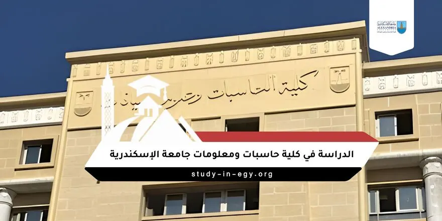الدراسة في كلية حاسبات ومعلومات جامعة الإسكندرية