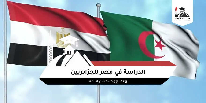 الدراسة في مصر للجزائريين