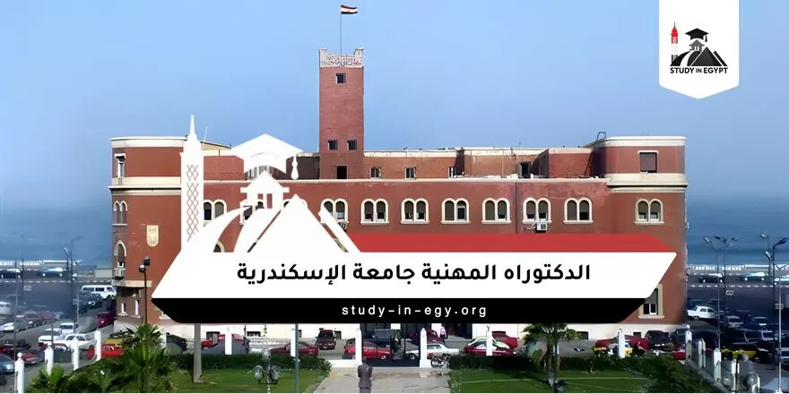 الدكتوراه المهنية جامعة الاسكندرية