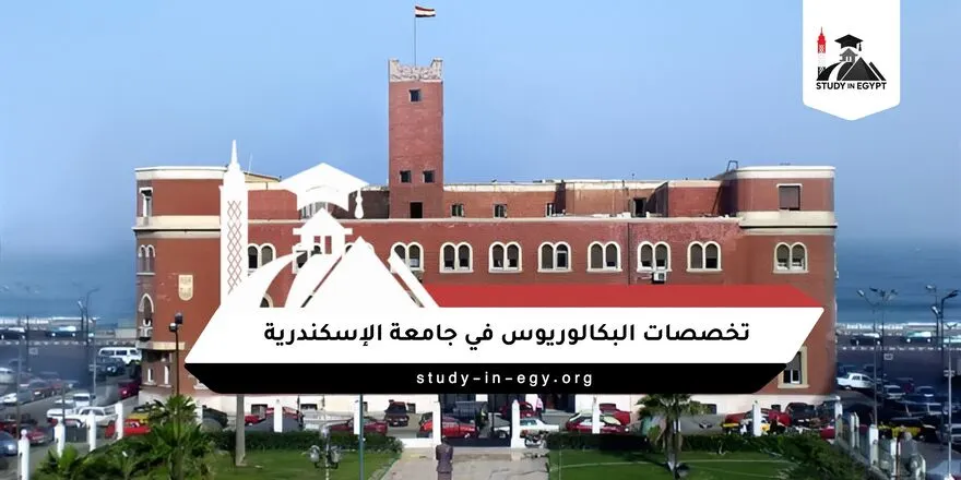 تخصصات جامعة الإسكندرية بكالوريوس