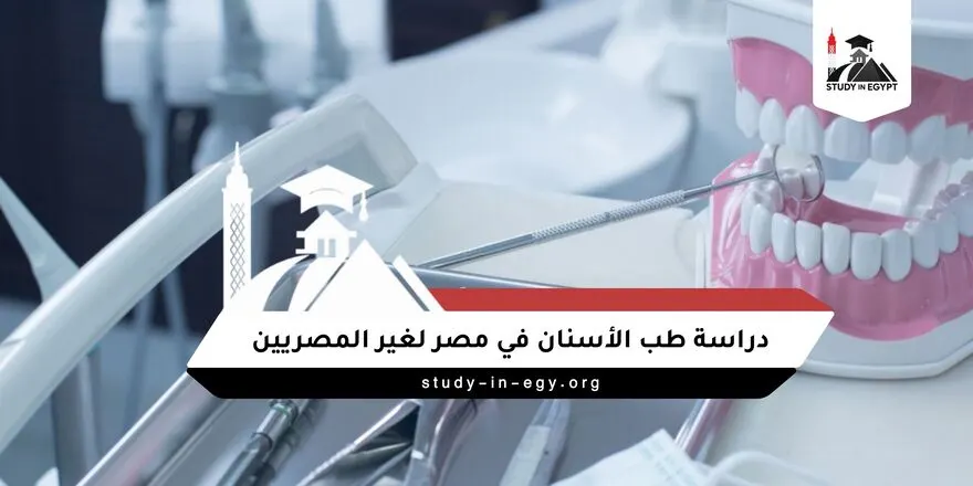 تكلفة دراسة طب الأسنان في مصر لغير المصريين