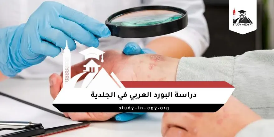 البورد العربي في الجلدية