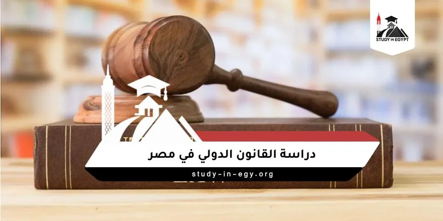 دراسة القانون الدولي في مصر