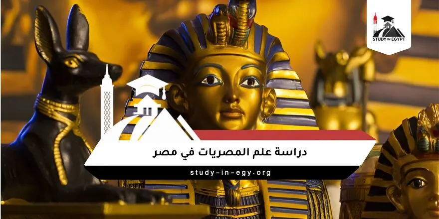 دراسة علم المصريات في مصر