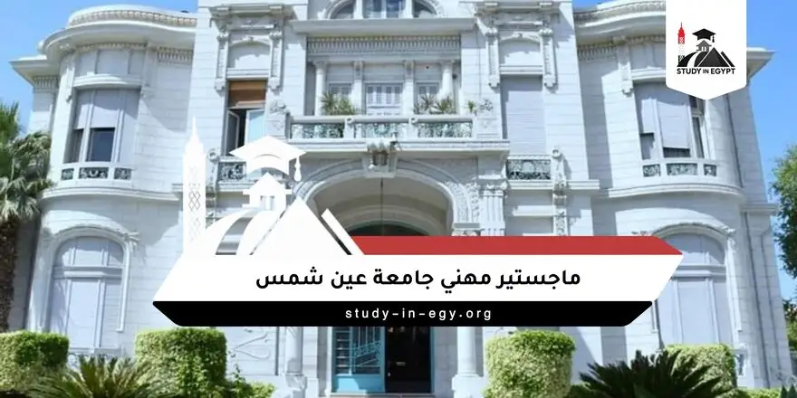 ماجستير مهني جامعة عين شمس
