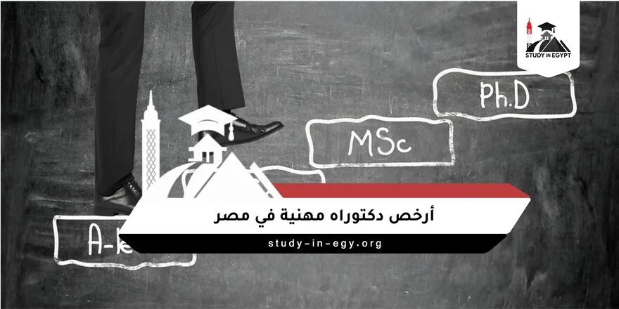أرخص دكتوراه مهنية في مصر