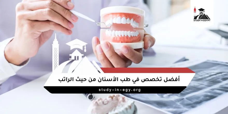 أفضل تخصص في طب الأسنان من حيث الراتب