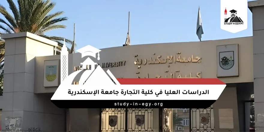الدراسات العليا كلية التجارة جامعة الاسكندرية