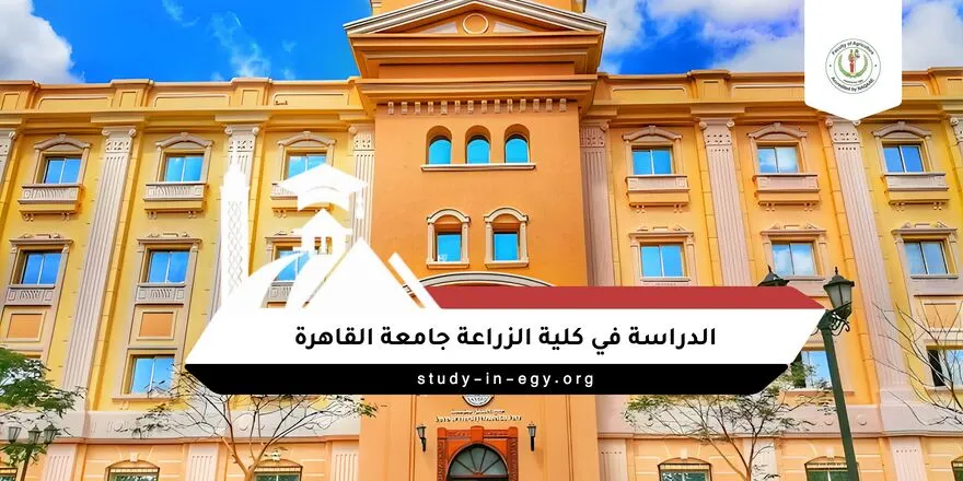الدراسة في كلية الزراعة جامعة القاهرة