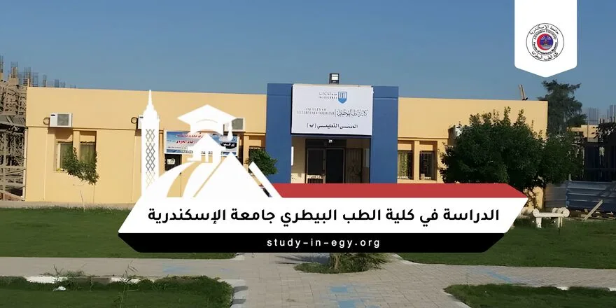 الدراسة في كلية الطب البيطري جامعة الإسكندرية