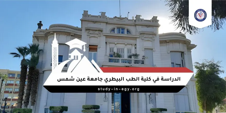 الدراسة في كلية الطب البيطري جامعة عين شمس