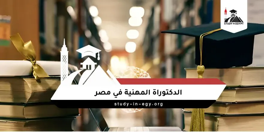 الدكتوراة المهنية في مصر