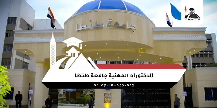 الدكتوراه المهنية جامعة طنطا