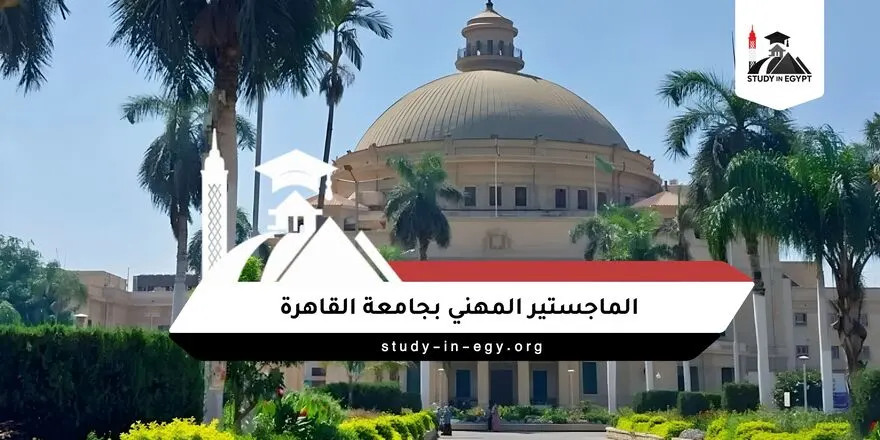 الماجستير المهني بجامعة القاهرة