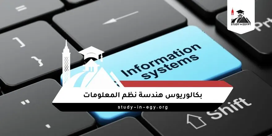 بكالوريوس هندسة نظم المعلومات