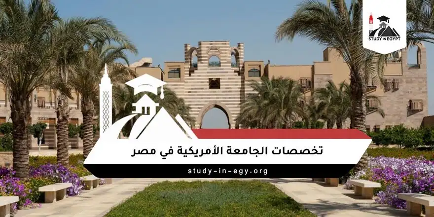 تخصصات الجامعة الأمريكية في مصر