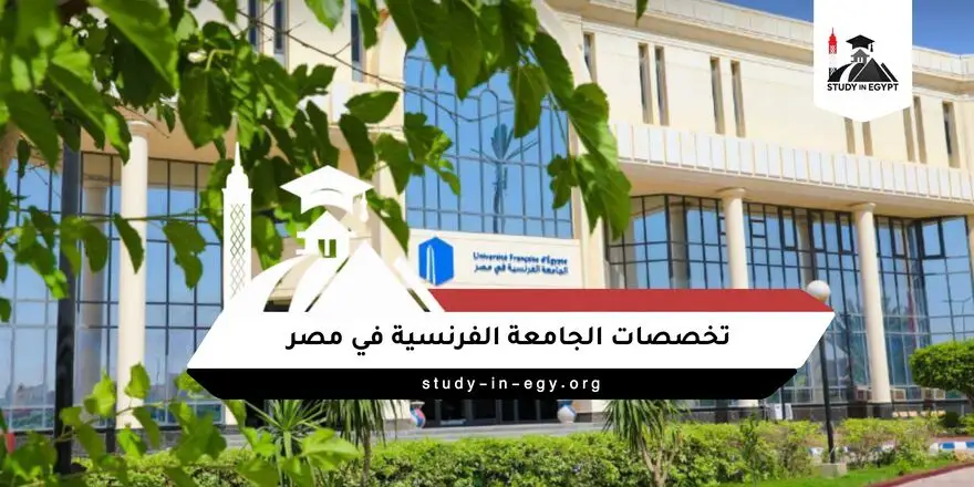 تخصصات الجامعة الفرنسية في مصر