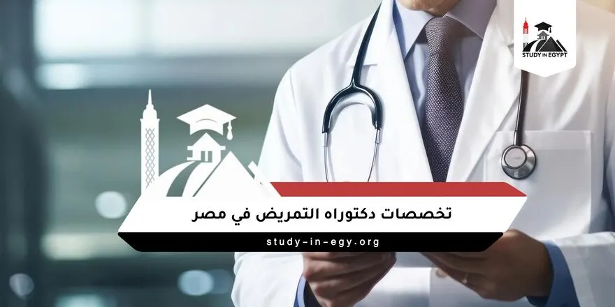 تخصصات الدكتوراه في التمريض