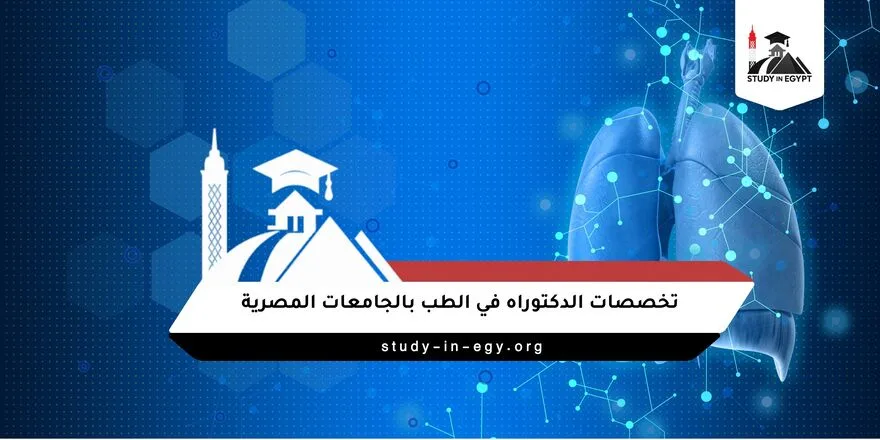 تخصصات الدكتوراه في الطب
